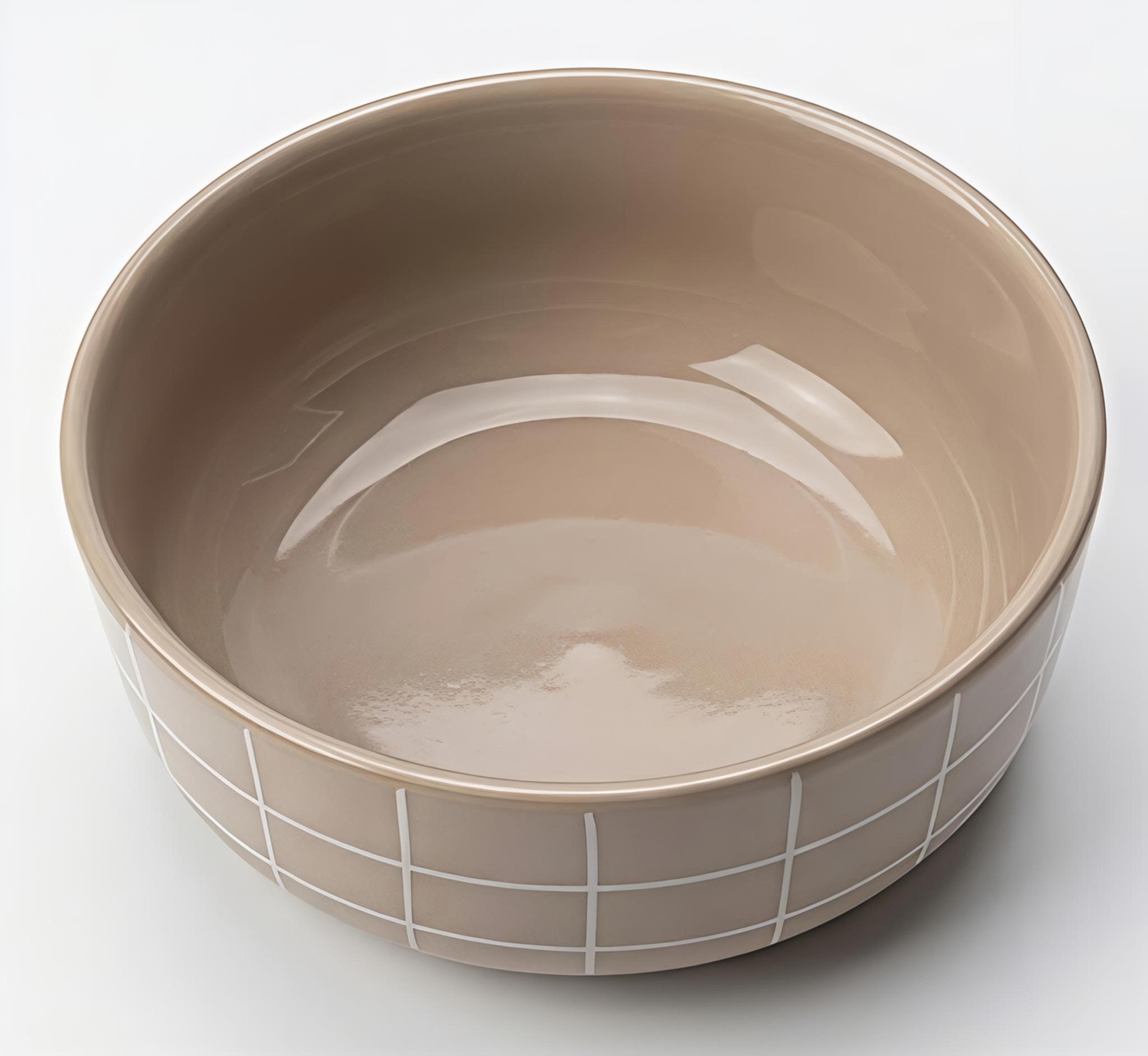 Ceramic Bowl